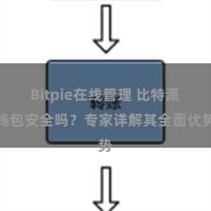 Bitpie在线管理 比特派钱包安全吗？专家详解其全面优势