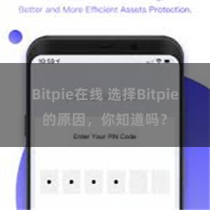 Bitpie在线 选择Bitpie的原因，你知道吗？