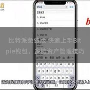 比特派免费版 快速上手Bitpie钱包，多链资产管理技巧