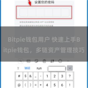 Bitpie钱包用户 快速上手Bitpie钱包，多链资产管理技巧