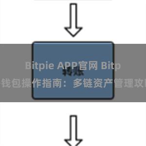 Bitpie APP官网 Bitpie钱包操作指南：多链资产管理攻略