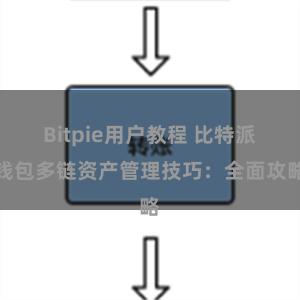 Bitpie用户教程 比特派钱包多链资产管理技巧：全面攻略