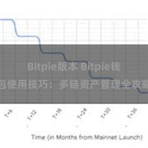 Bitpie版本 Bitpie钱包使用技巧：多链资产管理全攻略