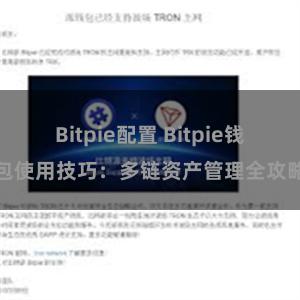 Bitpie配置 Bitpie钱包使用技巧：多链资产管理全攻略