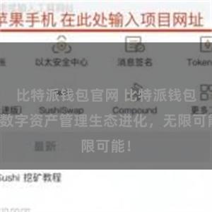 比特派钱包官网 比特派钱包：数字资产管理生态进化，无限可能！