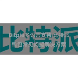 Bitpie多语言支持 比特派钱包常见问题解决方案