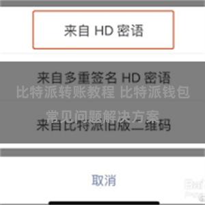 比特派转账教程 比特派钱包常见问题解决方案