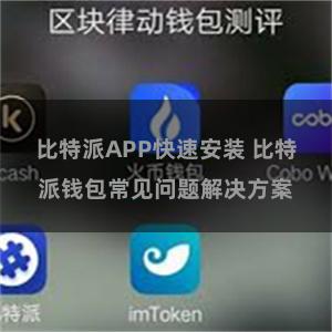 比特派APP快速安装 比特派钱包常见问题解决方案