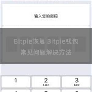 Bitpie恢复 Bitpie钱包常见问题解决方法