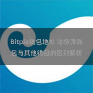 Bitpie钱包地址 比特派钱包与其他钱包的区别解析