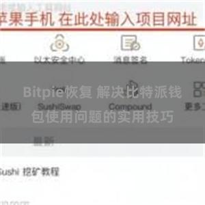 Bitpie恢复 解决比特派钱包使用问题的实用技巧