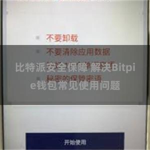 比特派安全保障 解决Bitpie钱包常见使用问题