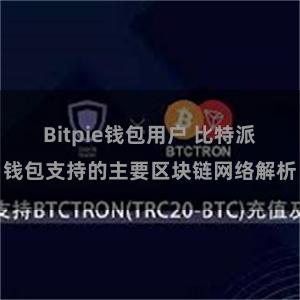 Bitpie钱包用户 比特派钱包支持的主要区块链网络解析