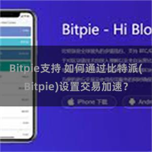 Bitpie支持 如何通过比特派(Bitpie)设置交易加速？