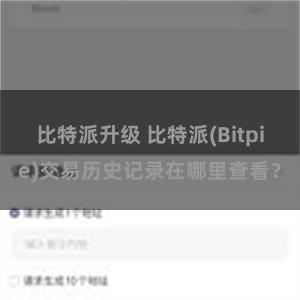 比特派升级 比特派(Bitpie)交易历史记录在哪里查看？