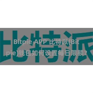 Bitpie APP 比特派(Bitpie)钱包如何设置每日限额？