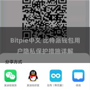 Bitpie中文 比特派钱包用户隐私保护措施详解