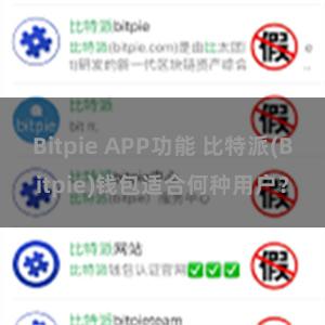 Bitpie APP功能 比特派(Bitpie)钱包适合何种用户？