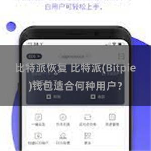 比特派恢复 比特派(Bitpie)钱包适合何种用户？