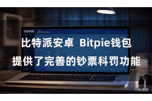 比特派安卓  Bitpie钱包提供了完善的钞票科罚功能