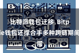 比特派钱包迁移  Bitpie钱包还撑合手多种跨链期间